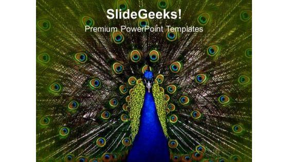 dancing_peacock_beauty_powerpoint_templates_ppt_backgrounds_for_slides_0213_title.jpg