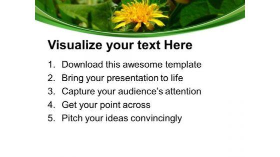 dandelion_flowers_nature_powerpoint_templates_ppt_backgrounds_for_slides_0513_print.jpg