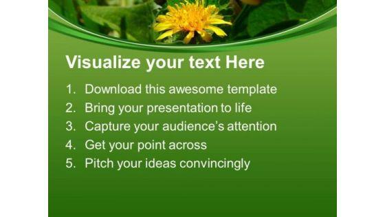 dandelion_flowers_nature_powerpoint_templates_ppt_backgrounds_for_slides_0513_text.jpg