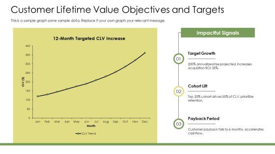 Database Marketing Plan PPT Information VM