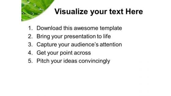 dew_drops_on_leaves_beauty_powerpoint_templates_and_powerpoint_themes_0512_print.jpg