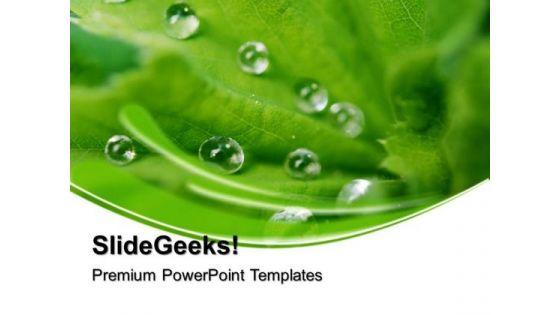 dew_drops_on_leaves_beauty_powerpoint_templates_and_powerpoint_themes_0512_title.jpg