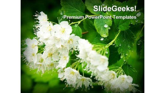 dew_drops_on_white_flowers_beauty_powerpoint_themes_and_powerpoint_slides_0311_title.jpg