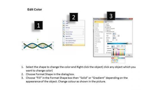 dna_powerpoint_presentation_template_3.jpg
