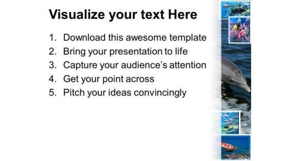 dolphin_animals_powerpoint_templates_and_powerpoint_themes_0512_print.jpg