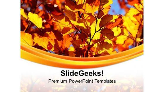 dry_leaves_of_barren_land_for_decoration_powerpoint_templates_ppt_backgrounds_for_slides_0313_title.jpg