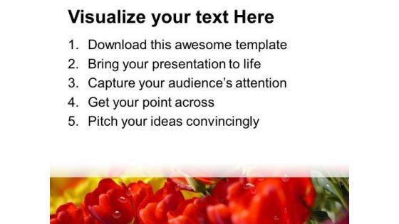 due_drops_on_tulip_flowers_powerpoint_templates_ppt_backgrounds_for_slides_0713_print.jpg