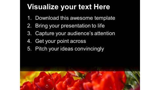due_drops_on_tulip_flowers_powerpoint_templates_ppt_backgrounds_for_slides_0713_text.jpg