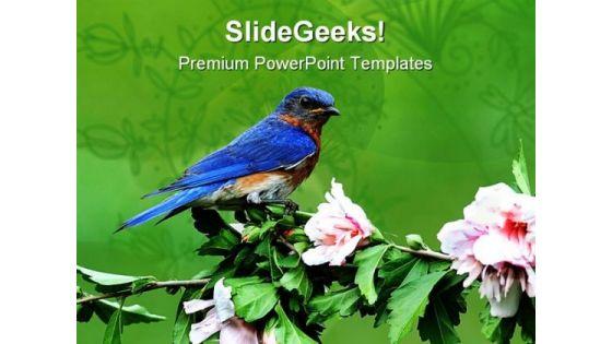 eastern_blue_bird_animals_powerpoint_templates_and_powerpoint_backgrounds_0111_title.jpg