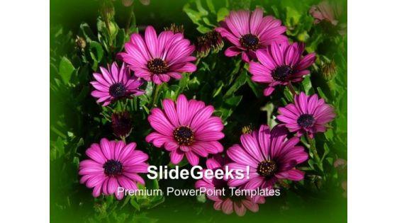 elegant_composition_of_gerbera_flowers_powerpoint_templates_ppt_backgrounds_for_slides_1212_title.jpg