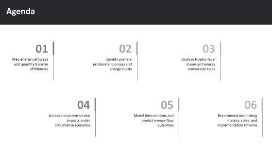 Energy Flow Diagram In Ecosystem PPT Structure VM