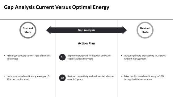 Energy Flow Diagram In Ecosystem PPT Structure VM