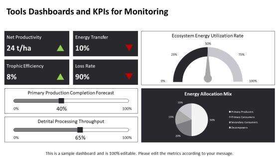 Energy Flow Diagram In Ecosystem PPT Structure VM