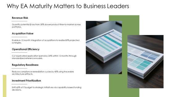 Enterprise Architecture Maturity Levels PPT Designs VM