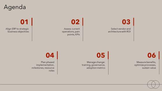 Enterprise Resource Planning Projects PPT PowerPoint VM