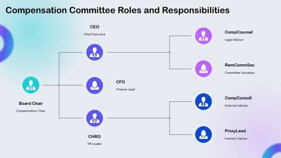 Executive Compensation Package Checklist PPT Example VM