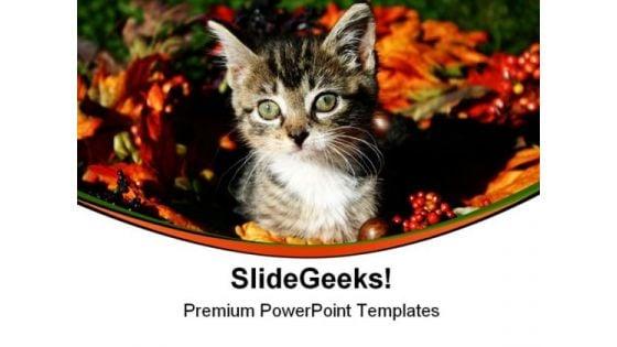 fall_kitty_animals_powerpoint_templates_and_powerpoint_backgrounds_0511_title.jpg