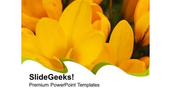 ferns_and_petals_powerpoint_templates_ppt_backgrounds_for_slides_0513_title.jpg
