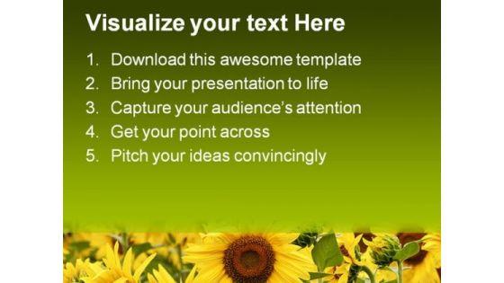 field_of_sunflowers_beauty_powerpoint_themes_and_powerpoint_slides_0311_text.jpg