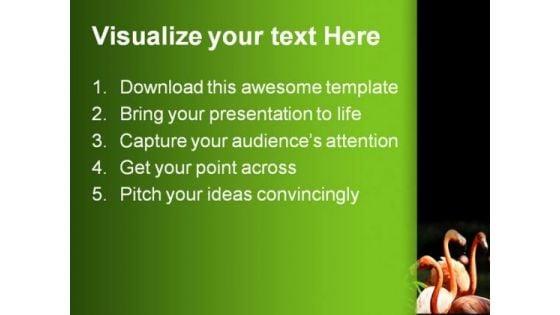 flamingo_animals_powerpoint_themes_and_powerpoint_slides_0211_text.jpg