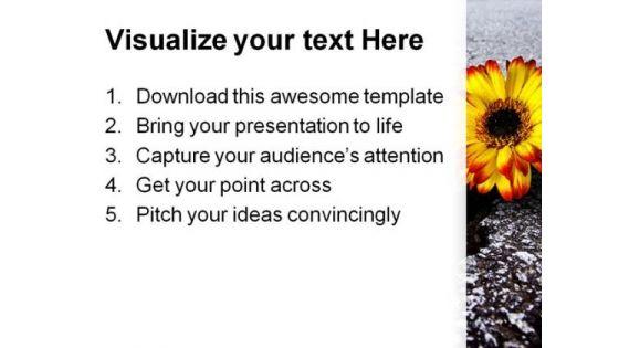 flower_in_asphalt_metaphor_powerpoint_themes_and_powerpoint_slides_0611_print.jpg