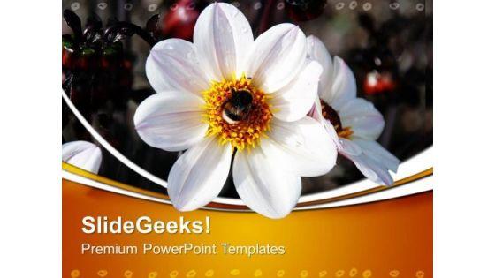 flower_nature_powerpoint_templates_and_powerpoint_themes_0512_title.jpg