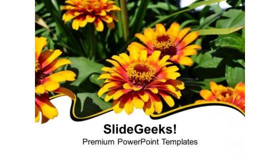 flowers_beauty_of_nature_abstract_powerpoint_templates_ppt_backgrounds_for_slides_0513_title.jpg