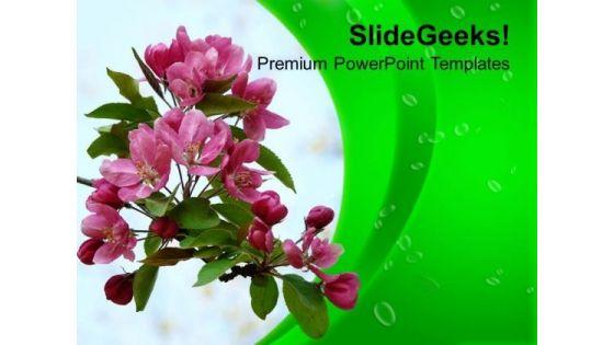 flowers_for_greeting_business_clients_powerpoint_templates_ppt_backgrounds_for_slides_0313_title.jpg