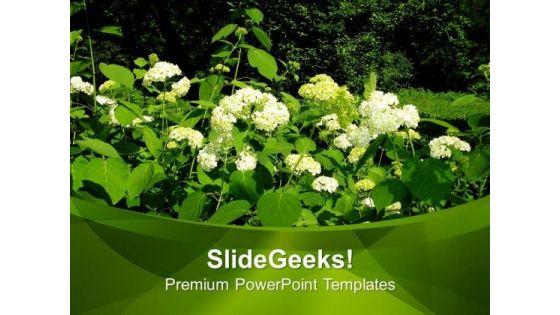 flowers_in_garden_nature_powerpoint_templates_ppt_backgrounds_for_slides_0513_title.jpg