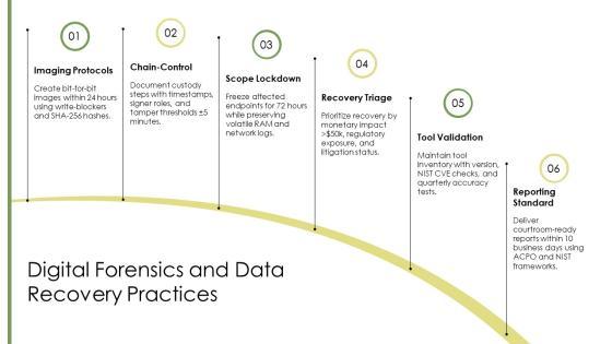 Forensic Accounting PPT Designs VM
