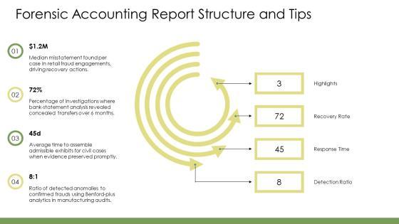 Forensic Accounting PPT Designs VM