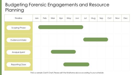 Forensic Accounting PPT Designs VM