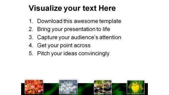 four_seasons_nature_powerpoint_templates_and_powerpoint_backgrounds_0611_print.jpg