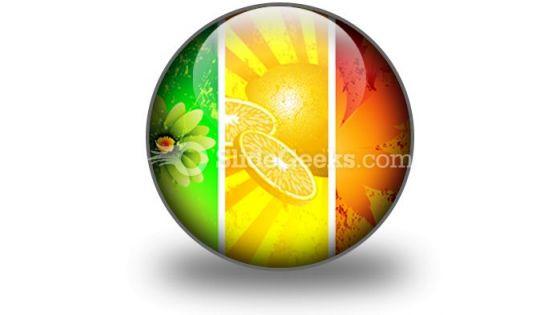 four_seasons_powerpoint_icon_c.jpg