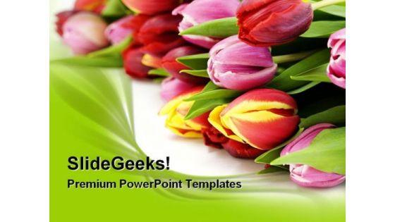 fresh_tulip_flowers_beauty_powerpoint_themes_and_powerpoint_slides_0311_title.jpg