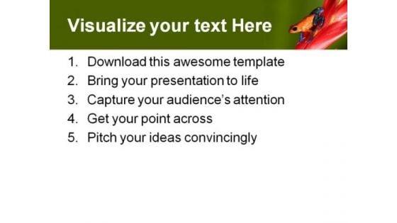 frog_animals_powerpoint_themes_and_powerpoint_slides_0811_print.jpg