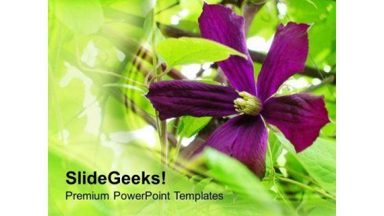 garden_with_purple_flowers_background_powerpoint_templates_ppt_backgrounds_for_slides_0613_title.jpg