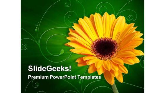 gerber_yellow_flower_beauty_powerpoint_themes_and_powerpoint_slides_0311_title.jpg