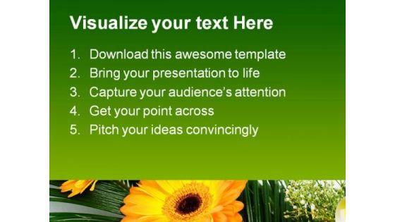 gerbers_flowers_beauty_powerpoint_themes_and_powerpoint_slides_0511_text.jpg