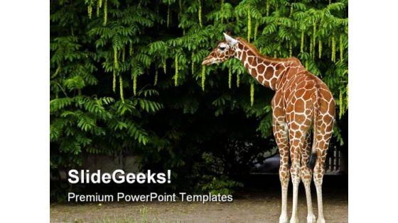 giraffe_animals_powerpoint_themes_and_powerpoint_slides_0211_title.jpg
