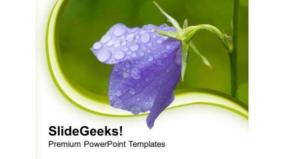 graphic_background_with_purple_flower_powerpoint_templates_ppt_backgrounds_for_slides_0613_title.jpg