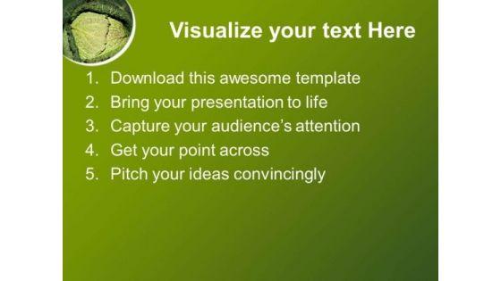 green_background_for_nature_theme_powerpoint_templates_ppt_backgrounds_for_slides_0513_text.jpg