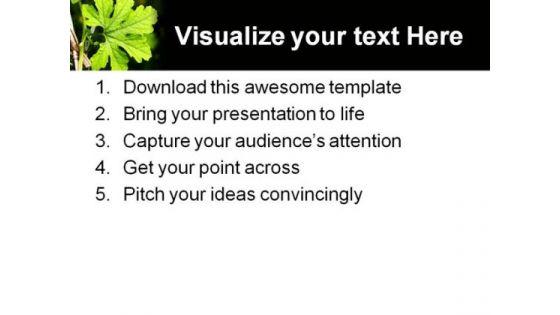 green_plant_nature_powerpoint_templates_and_powerpoint_backgrounds_0611_print.jpg
