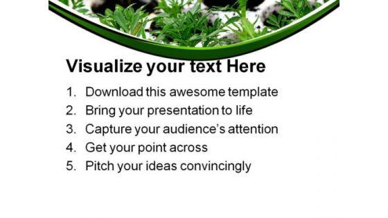 green_plants_nature_powerpoint_themes_and_powerpoint_slides_0411_print.jpg