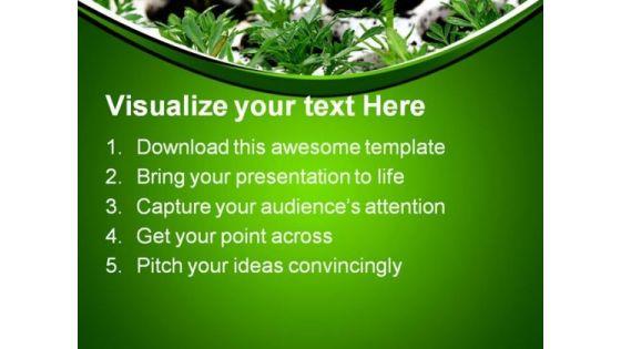 green_plants_nature_powerpoint_themes_and_powerpoint_slides_0411_text.jpg