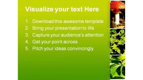 green_summer_forest_collage_nature_powerpoint_templates_and_powerpoint_backgrounds_0611_text.jpg