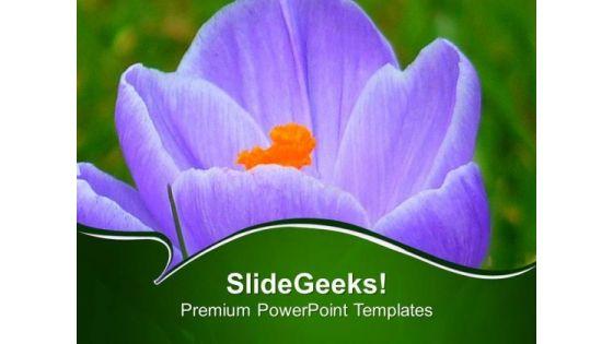 growing_crocus_spring_flower_powerpoint_templates_ppt_backgrounds_for_slides_0513_title.jpg