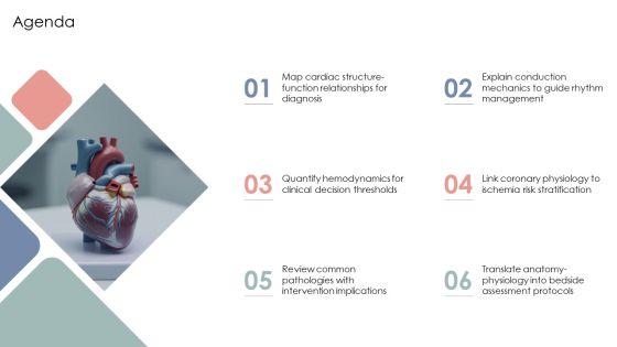 Heart Anatomy And Physiology PPT Designs VM