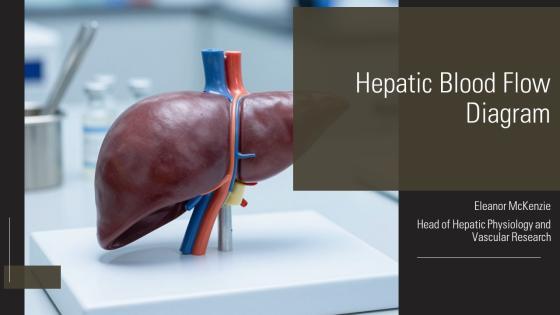 Hepatic Blood Flow Diagram PPT Example VM