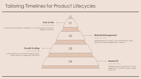 High Level Timeline PPT Information VM